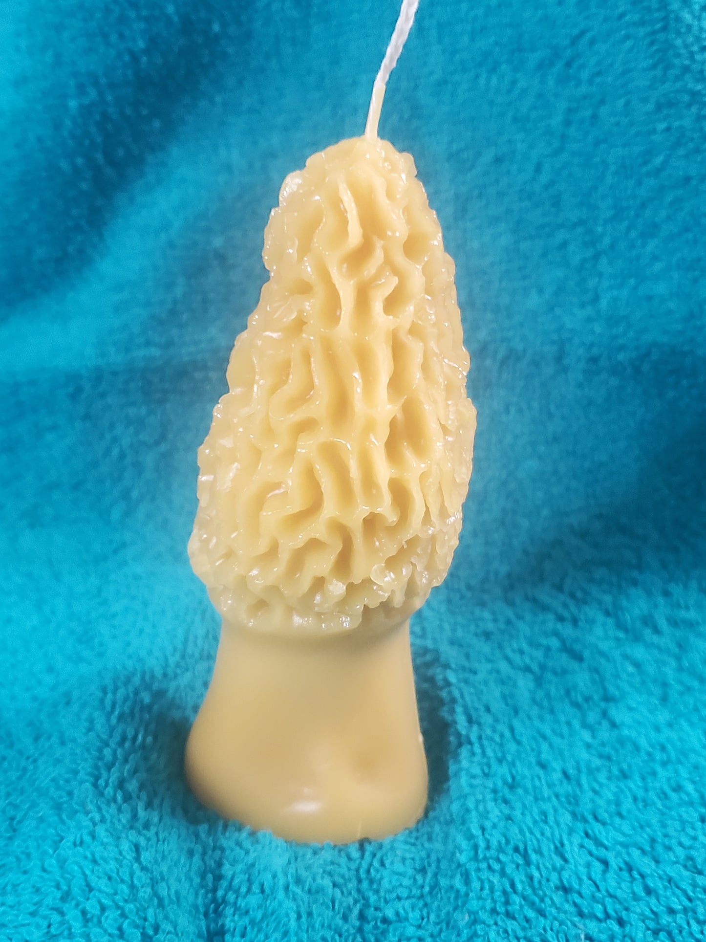 Big Morel Mushroom Candle (4" Tall by 1.5" Wide)