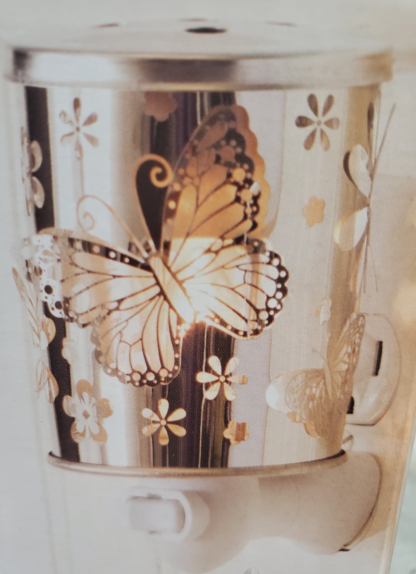 Butterfly Plugin Warmer